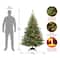 6ft. Pre-Lit Kincaid Spruce Artificial Christmas Tree, Multicolor Lights